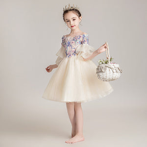 D1161 Girl Dress, Gift Birthday Dress, Flower Girl Dress, Toddler Dress