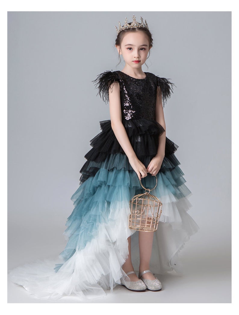 D1030 Girl Dress, Gift Birthday Dress, Flower Girl Dress, Toddler Dress