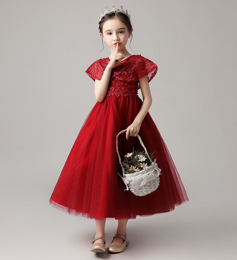 D1038 Girl Dress, Gift Birthday Dress, Flower Girl Dress, Toddler Dress