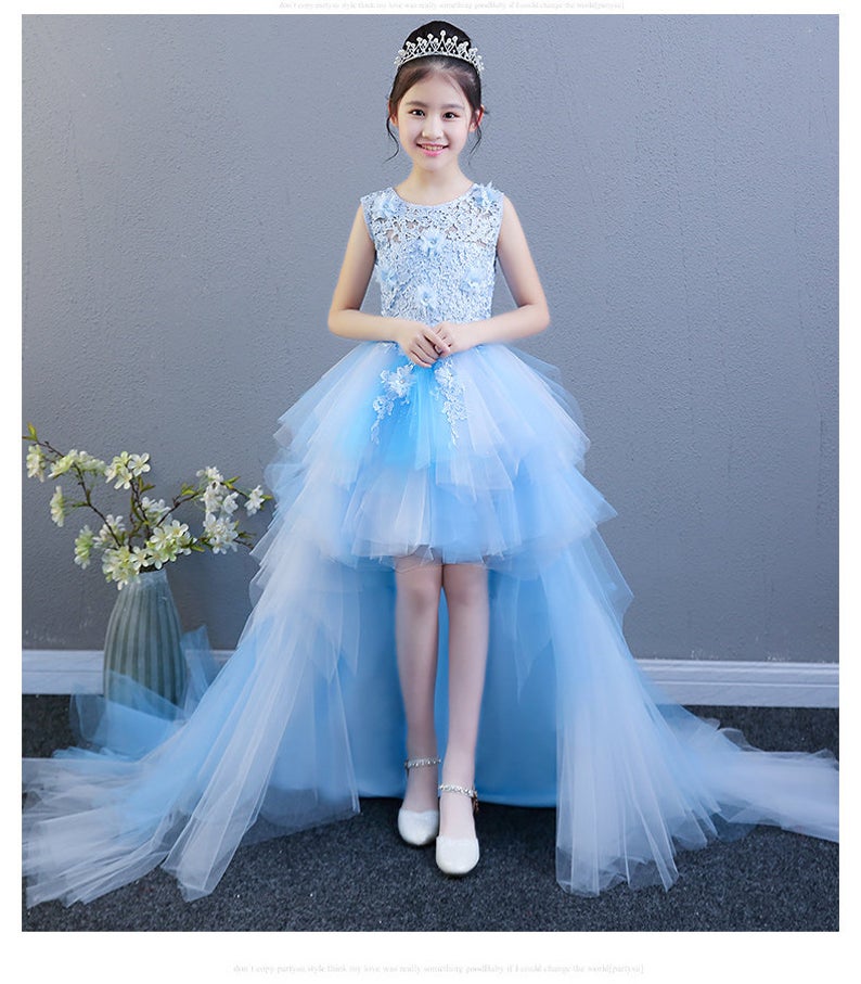 D1131 Girl Dress, Gift Birthday Dress, Flower Girl Dress, Toddler Dress