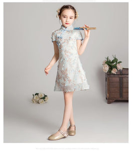 D1055 Chinese Style,Cheongsam,Gift Birthday Dress, Flower Girl Dress