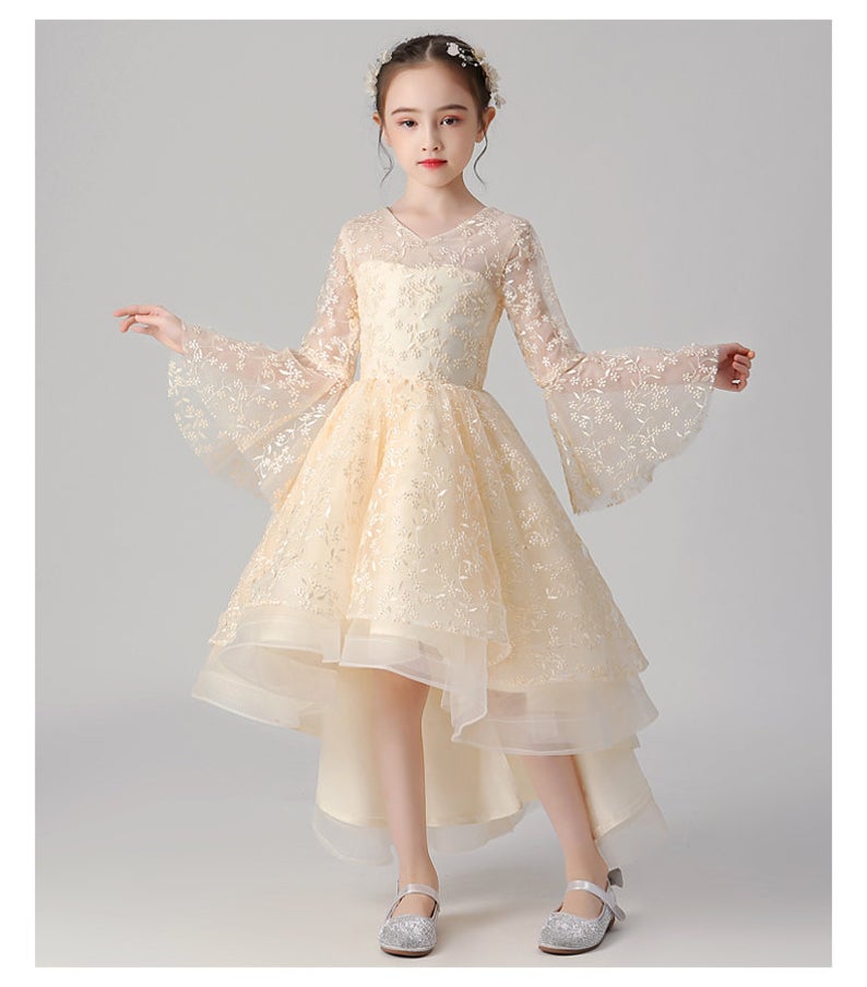 D1027 Girl Dress, Gift Birthday Dress, Flower Girl Dress, Toddler Dress
