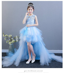 D1131 Girl Dress, Gift Birthday Dress, Flower Girl Dress, Toddler Dress
