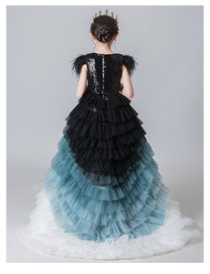 D1030 Girl Dress, Gift Birthday Dress, Flower Girl Dress, Toddler Dress