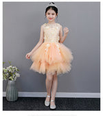 Load image into Gallery viewer, D1041 Girl Dress, Gift Birthday Dress, Flower Girl Dress, Toddler Dress
