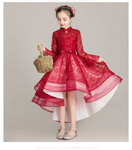 D1047 Girl Dress, Gift Birthday Dress, Flower Girl Dress, Toddler Dress