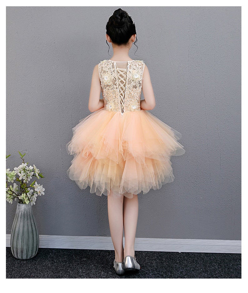D1041 Girl Dress, Gift Birthday Dress, Flower Girl Dress, Toddler Dress