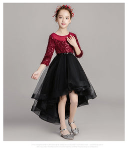 D1039 Girl Dress, Gift Birthday Dress, Flower Girl Dress, Toddler Dress