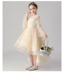 D1027 Girl Dress, Gift Birthday Dress, Flower Girl Dress, Toddler Dress