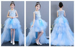 Load image into Gallery viewer, D1131 Girl Dress, Gift Birthday Dress, Flower Girl Dress, Toddler Dress
