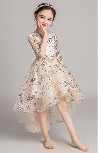 D1051 Girl Dress, Gift Birthday Dress, Flower Girl Dress, Toddler Dress