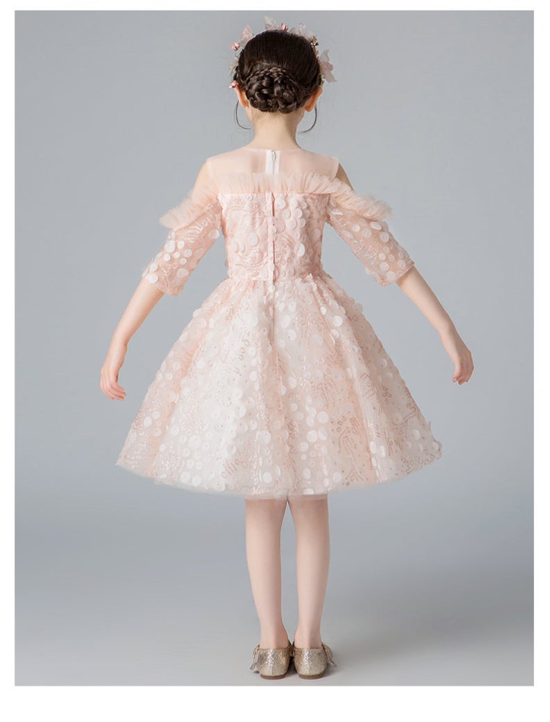 D1023 Girl Dress, Gift Birthday Dress, Flower Girl Dress, Toddler Dress