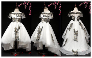 D1211 Girl Dress, Gift Birthday Dress, Flower Girl Dress, Toddler Dress