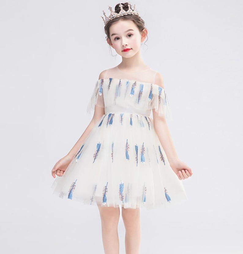D1216 Girl Dress, Gift Birthday Dress, Flower Girl Dress, Toddler Dress