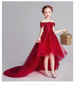 Load image into Gallery viewer, D1100 Girl Dress, Gift Birthday Dress, Flower Girl Dress, Toddler Dress
