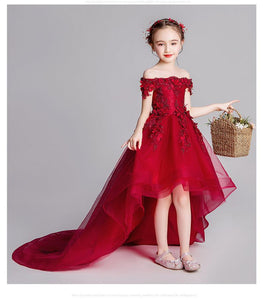 D1100 Girl Dress, Gift Birthday Dress, Flower Girl Dress, Toddler Dress