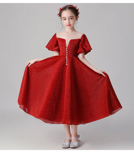 D1025 Girl Dress, Gift Birthday Dress, Flower Girl Dress, Toddler Dress