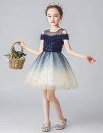Load image into Gallery viewer, D1024 Girl Dress, Gift Birthday Dress, Flower Girl Dress, Toddler Dress
