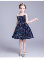 Load image into Gallery viewer, D1219 Girl Dress, Gift Birthday Dress, Flower Girl Dress, Toddler Dress
