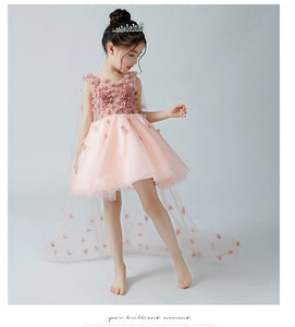 D1061 Girl Dress, Gift Birthday Dress, Flower Girl Dress, Toddler Dress