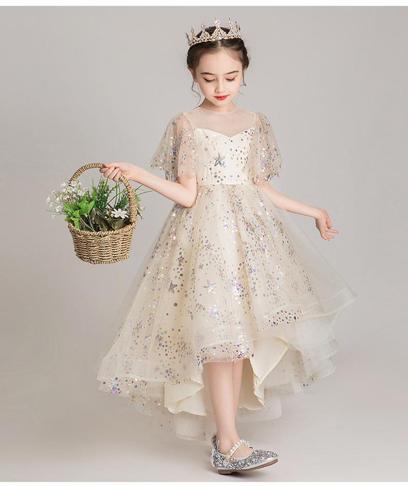 D1320 Birthday Dress, Flower Girl Dress, Toddler Dress, Baby Christmas Dress
