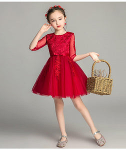 D1357 Birthday Dress, Flower Girl Dress, Toddler Dress, Baby Christmas Dress