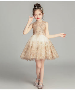 D1329 Birthday Dress, Flower Girl Dress, Toddler Dress, Baby Christmas Dress