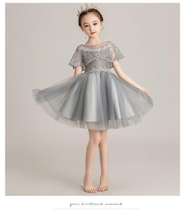 D1099 Girl Dress, Gift Birthday Dress, Flower Girl Dress, Toddler Dress