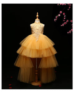 D1269 Flower Girl Dress, Toddler Dress, Baby Christmas Dress, Glitz Pageant Dress