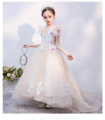 Load image into Gallery viewer, D1084 Gift Birthday Dress, Flower Girl Dress, Toddler Dress, Baby Christmas Dress
