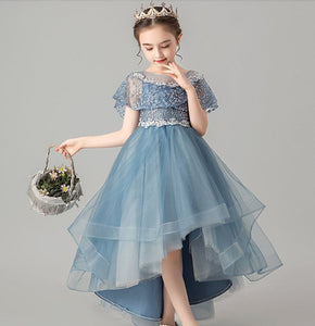 D1303 Birthday Dress, Flower Girl Dress, Toddler Dress, Baby Christmas Dress