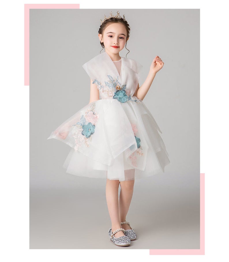D1033 Girl Dress, Gift Birthday Dress, Flower Girl Dress, Toddler Dress
