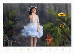 Load image into Gallery viewer, D1202 Girl Dress, Gift Birthday Dress, Flower Girl Dress, Toddler Dress
