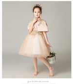 Load image into Gallery viewer, D1040 Girl Dress, Gift Birthday Dress, Flower Girl Dress, Toddler Dress
