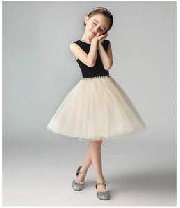 D1250 Gift Birthday Dress, Flower Girl Dress, Toddler Dress, Baby Christmas Dress