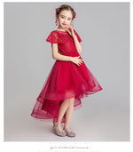 Load image into Gallery viewer, D1037 Girl Dress, Gift Birthday Dress, Flower Girl Dress, Toddler Dress
