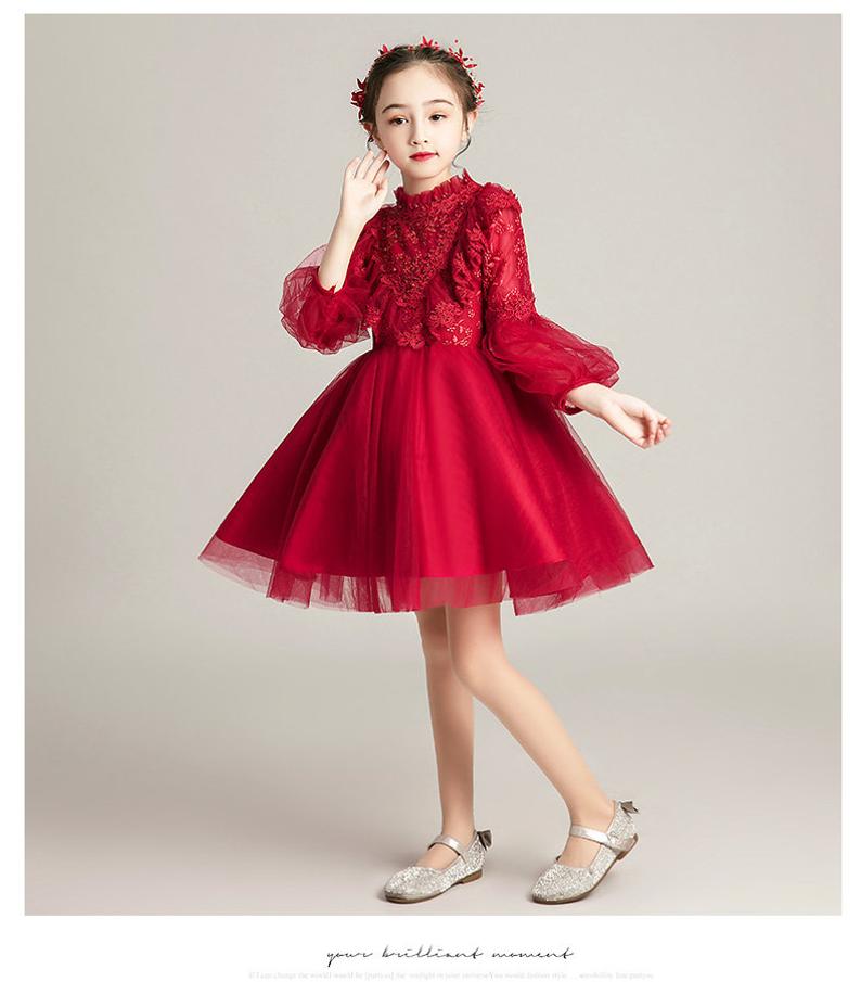 D1173 Girl Dress, Gift Birthday Dress, Flower Girl Dress, Toddler Dress