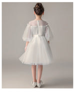 Load image into Gallery viewer, D1035 Girl Dress, Gift Birthday Dress, Flower Girl Dress, Toddler Dress
