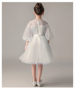D1035 Girl Dress, Gift Birthday Dress, Flower Girl Dress, Toddler Dress