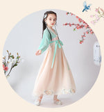 Load image into Gallery viewer, D1234 Chinese Style,Costume,Gift Birthday Dress, Flower Girl Dress
