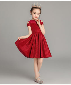 D1330 Birthday Dress, Flower Girl Dress, Toddler Dress, Baby Christmas Dress