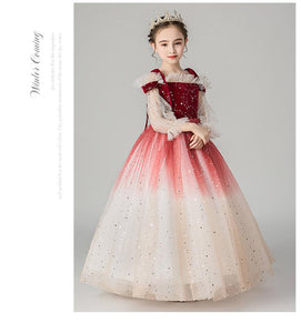 D1217 Girl Dress, Gift Birthday Dress, Flower Girl Dress, Toddler Dress