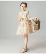 Load image into Gallery viewer, D1342 Birthday Dress, Flower Girl Dress, Toddler Dress, Baby Christmas Dress
