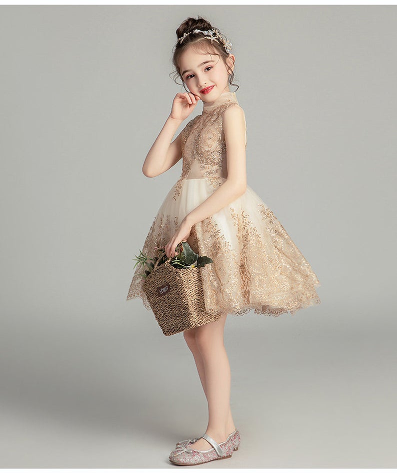 D1329 Birthday Dress, Flower Girl Dress, Toddler Dress, Baby Christmas Dress
