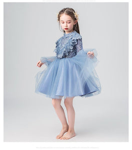 D1018 Girl Dress, Gift Birthday Dress, Toddler Dress, Baby Christmas Dress