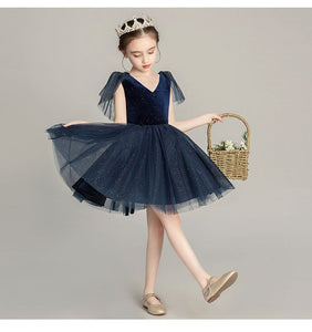D1095 Girl Dress, Gift Birthday Dress, Flower Girl Dress, Toddler Dress