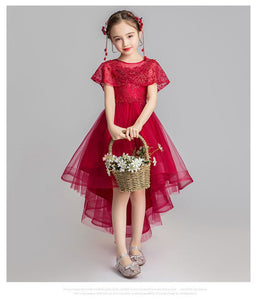 D1037 Girl Dress, Gift Birthday Dress, Flower Girl Dress, Toddler Dress