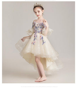 D1105 Girl Dress, Gift Birthday Dress, Flower Girl Dress, Toddler Dress