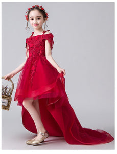 D1254 Birthday Dress, Flower Girl Dress, Toddler Dress, Baby Christmas Dress