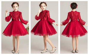 D1173 Girl Dress, Gift Birthday Dress, Flower Girl Dress, Toddler Dress